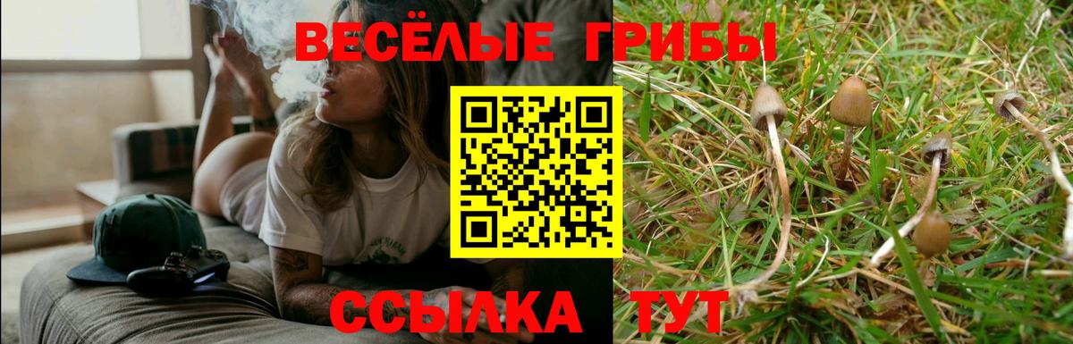 Псилоцибиновые грибы Psilocybine cubensis  Вход с VPN  Ханты-Мансийск 